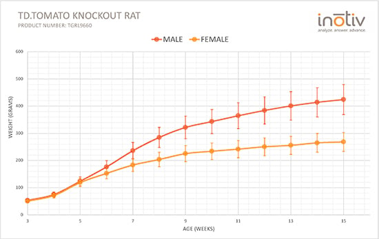 tdTomato-reporter-knockin-rats-growth-curve